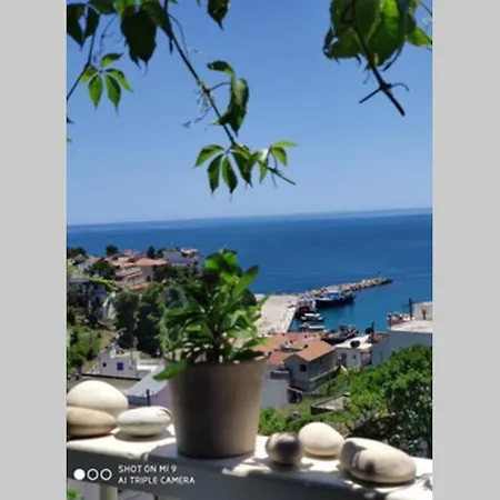 Iason Studio 3 Apartment Patitiri (Alonnisos)
